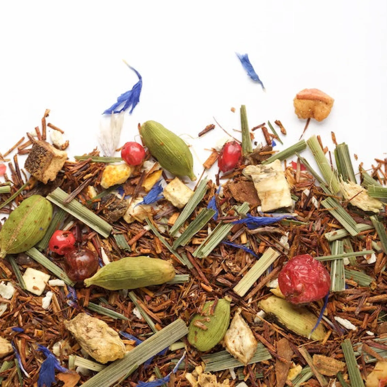 Ma Caféine Rooibos Teas | In Bag>Camellia Sinensis | Rooibos Zest Éclair organic & fair trade (50 sachets)