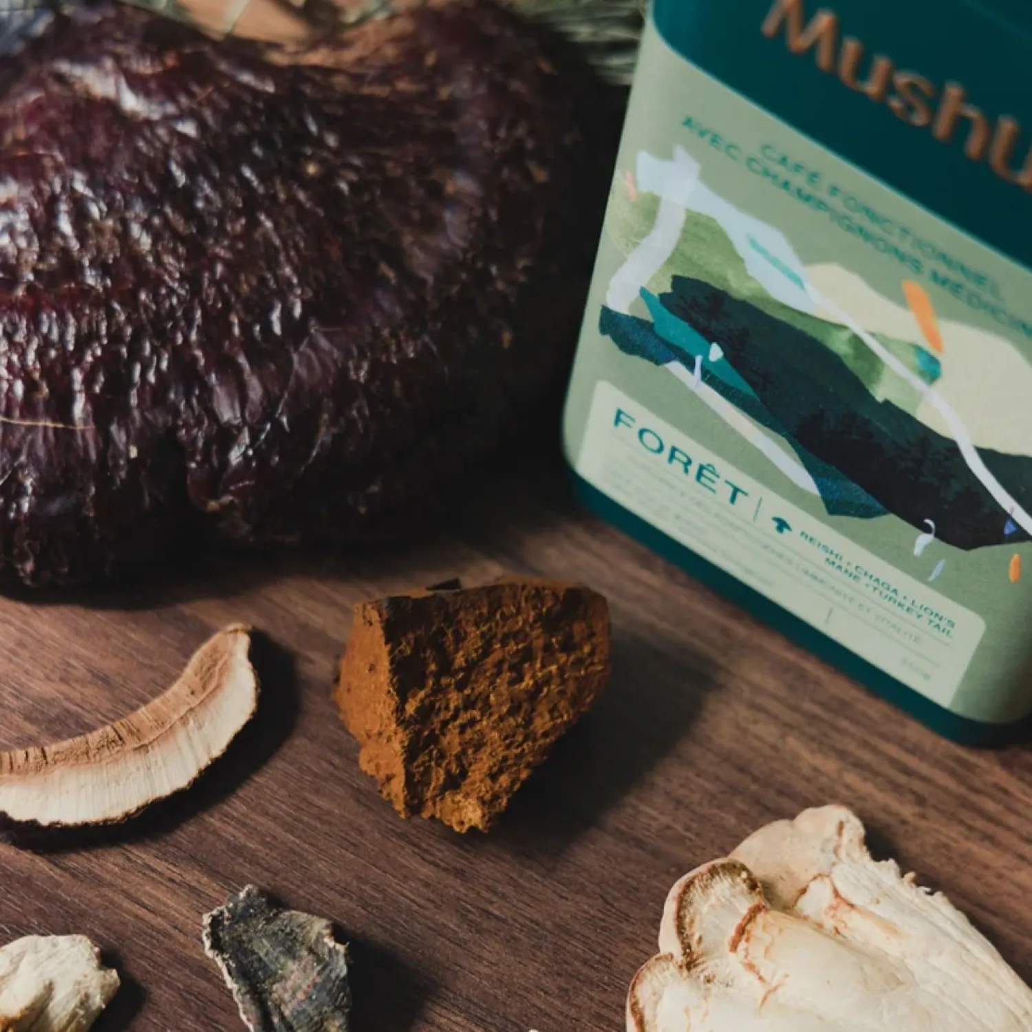 Ma Caféine Organic Fair Trade | Coffee Beans>MushUp | Organic forest - Gourmet Sauvage collaboration - 500 gr bag