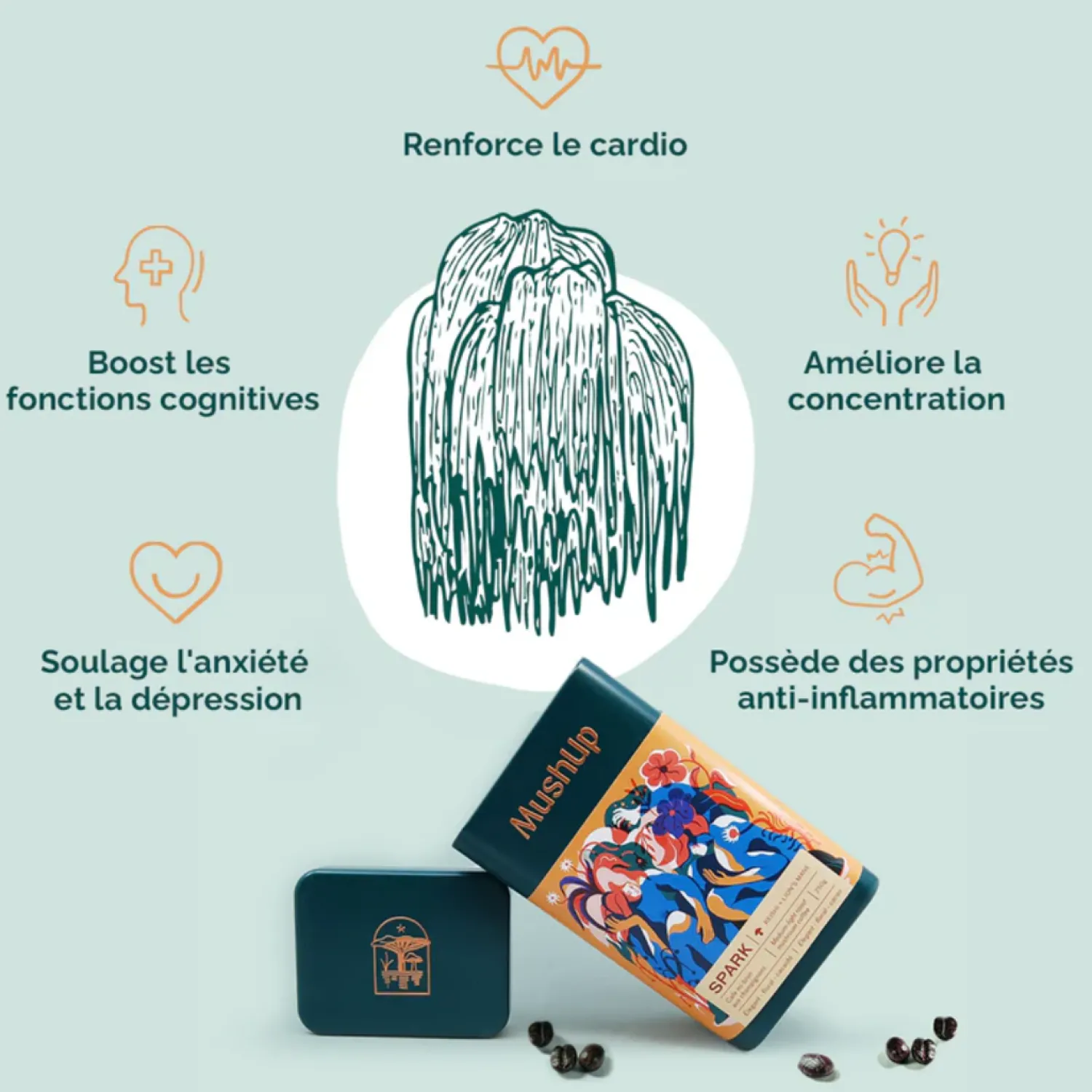 Ma Caféine Mushup | Organic Fair Trade>MushUp | Organic Spark - 500 gr bag