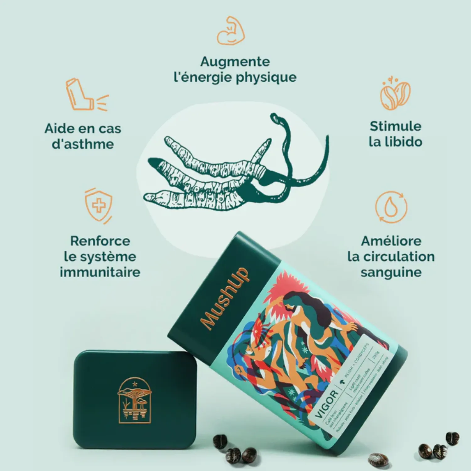 Ma Caféine Mushup | Organic Fair Trade>MushUp | Organic Vigor - 500 gr bag